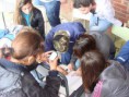 /album/jornada-dia-del-estudiante-y-dia-de-la-primavera/jornada-54-copiar-jpg/